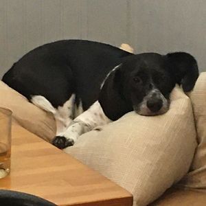 Meet your Posher, Terri